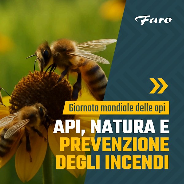 Ma sono davvero così importanti le api?